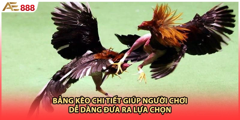 Bảng kèo chi tiết giúp người chơi dễ dàng đưa ra lựa chọn