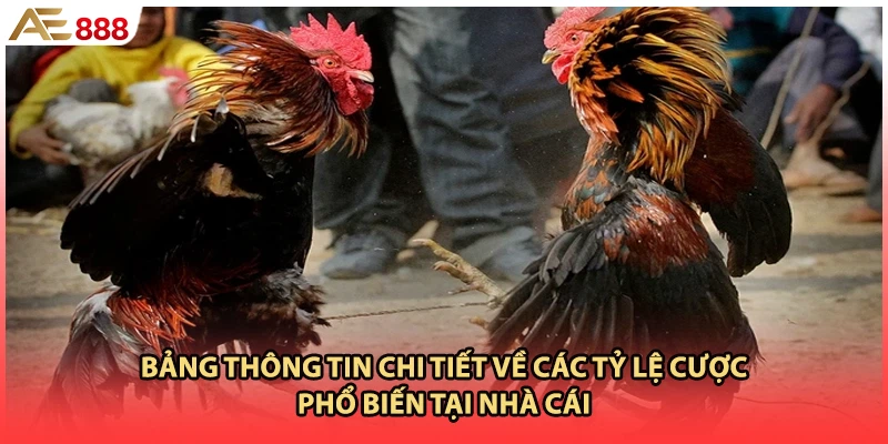 Bảng thông tin chi tiết về các tỷ lệ cược phổ biến tại nhà cái