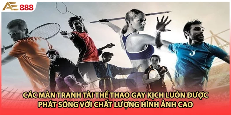 Các màn tranh tài thể thao gay kịch luôn được phát sóng với chất lượng hình ảnh cao