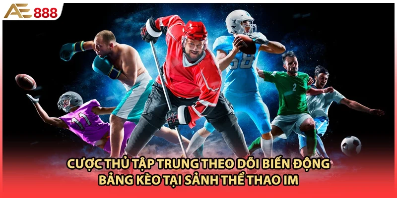 Cược thủ tập trung theo dõi biến động bảng kèo tại sảnh thể thao IM
