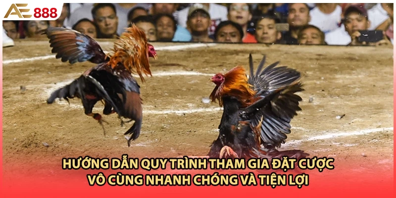 Hướng dẫn quy trình tham gia đặt cược vô cùng nhanh chóng và tiện lợi