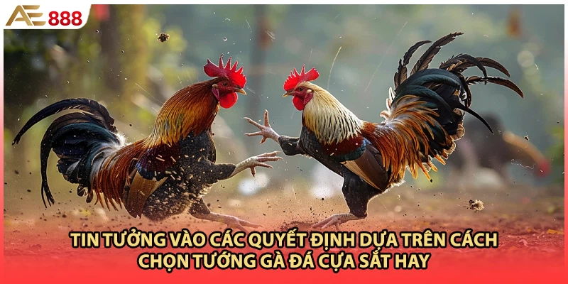 Tin tưởng vào các quyết định dựa trên cách chọn tướng gà đá cựa sắt hay